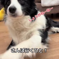 「仕方ないな～」