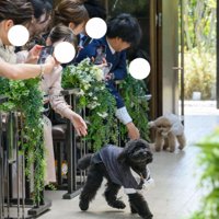 会場からは温かな笑顔が…