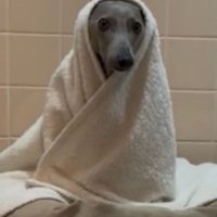 優しくて可愛い姿♡