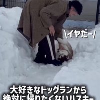 お気に入りのドッグランへ