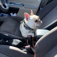 「なにごと…？」