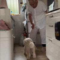 ワンコとおじいちゃんの日常8