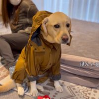 カッパが嫌でしょんぼり…
