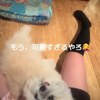 ヘソ天するるるちゃん1