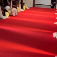 ミロちゃんがリングドッグに挑戦6