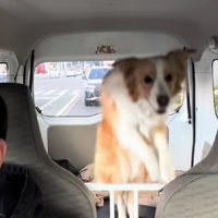 大きくジャンプ！！