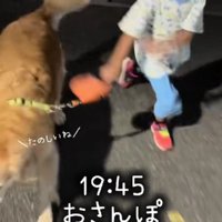 一緒にお散歩に行って…