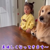 完成が待ちきれなくて…