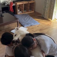 帰宅後のお子さんたちとまる君7