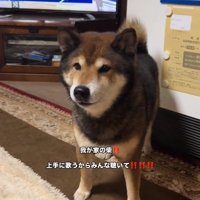 休憩するしゅんくん