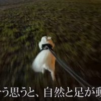 「本当にママがいるのかも！」