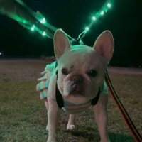 シュール過ぎるアビーちゃんに…