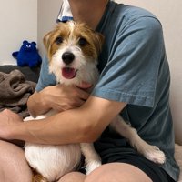 オヤツ