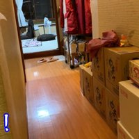 パパさんが帰宅