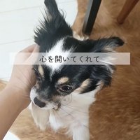 しずくちゃんの変化8