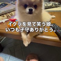イクラちゃんと赤ちゃん3
