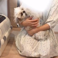 抱っこされるkokoちゃん