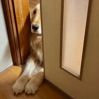 襖の隙間からチラリ