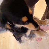 紬ちゃんのおねだり2