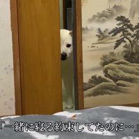 ちょっぴり切ない表情に…