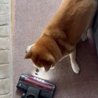 掃除機