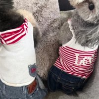 最後は笑顔になれるよ