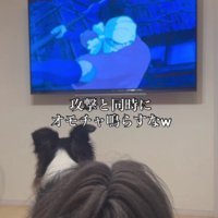 村人と戦うシーンで…