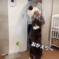 大歓迎のミロちゃん