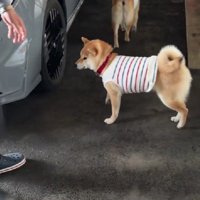 「きたきた！！」