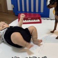 ごろーん