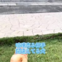 吠える先にいたのは…