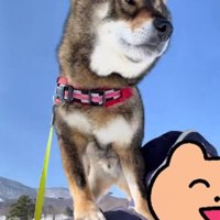 別の日のちゃちゃくん