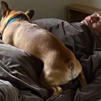 圧迫されてる…！！