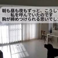 ウロウロしながら遠吠えするリボンちゃん