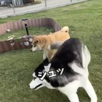 ひらりと一回転