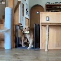 お水を変えてあげました