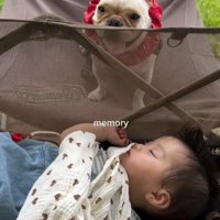 ぶうちゃんと赤ちゃん8