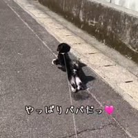 大喜びでダッシュ！