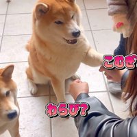 やっぱり自主した！！