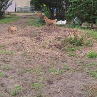 突然お客さんが現れた