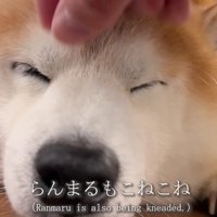 「何ができるのかな？」