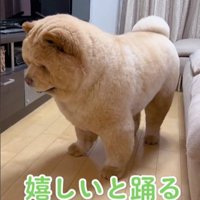 無くす