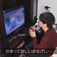「構って♡」とお目目でアピール