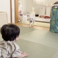 即ダッシュ！！