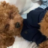 天使みたいな可愛さです♡