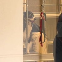 レアちゃん、頑張ってるよ！！