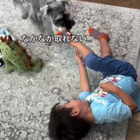 靴下を脱がせてもらうこと♪