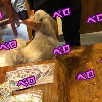 愛が止まらない♡