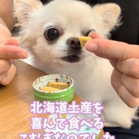 幸せな日常が戻った