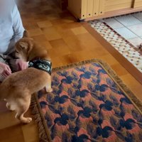 不安そうなゆきちちゃん